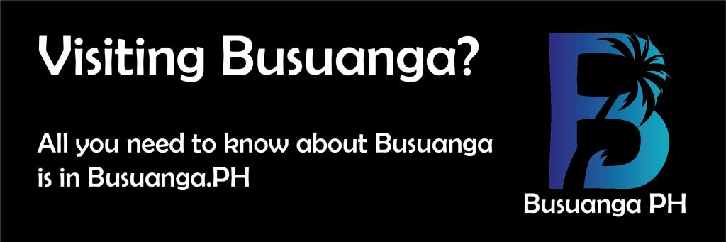 link busuanga footer