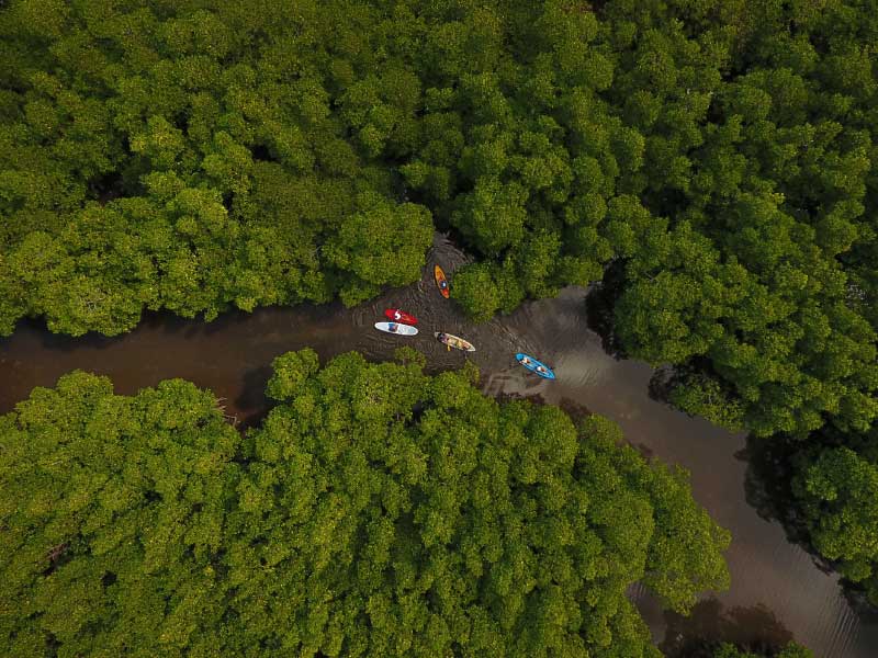 Kayaking Mangroves Busuanga