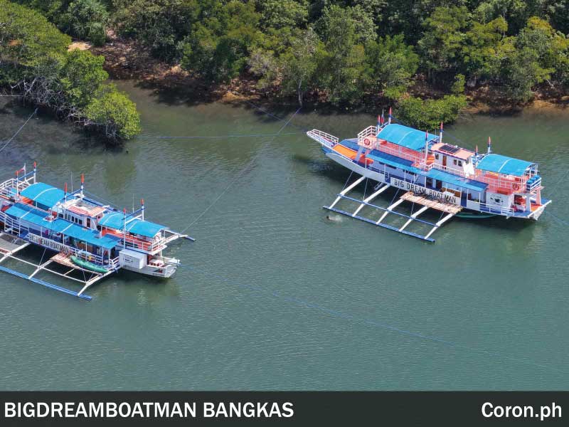big dream boatman expedition coron el nido bangka p
