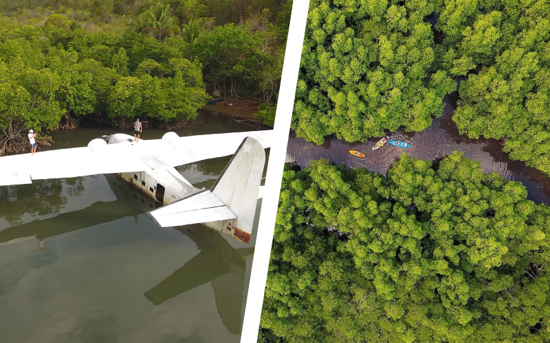 Seaplane Mangroves Kayaking Busuanga