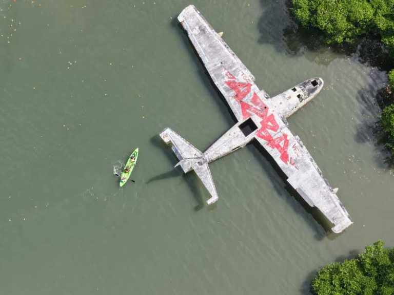 Seaplane Wreck in Busuanga Drone shot